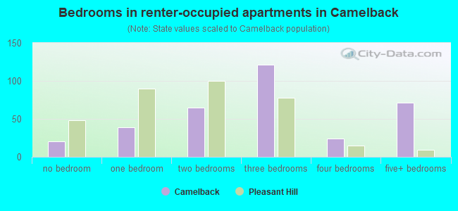 Bedrooms in renter-occupied apartments in Camelback