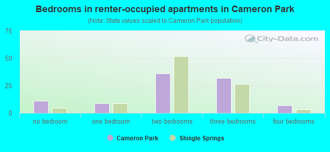 Bedrooms in renter-occupied apartments in Cameron Park