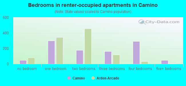 Bedrooms in renter-occupied apartments in Camino