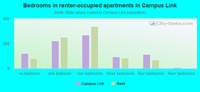 Bedrooms in renter-occupied apartments in Campus Link