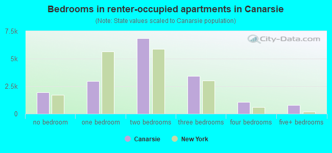 Bedrooms in renter-occupied apartments in Canarsie