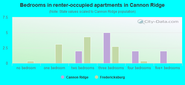 Bedrooms in renter-occupied apartments in Cannon Ridge