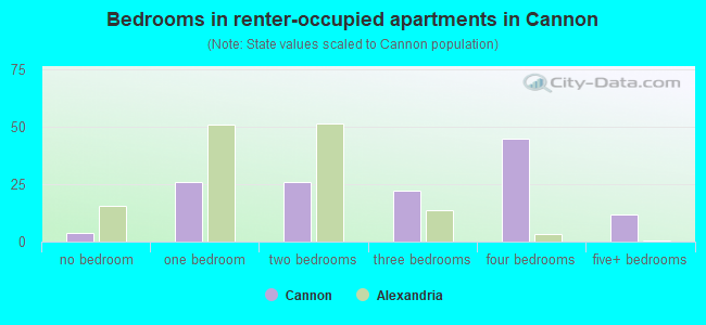 Bedrooms in renter-occupied apartments in Cannon