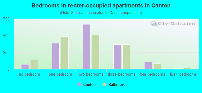 Bedrooms in renter-occupied apartments in Canton