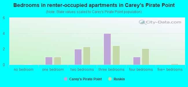Bedrooms in renter-occupied apartments in Carey's Pirate Point