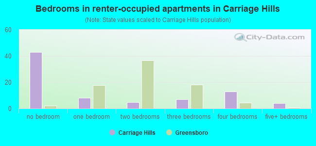 Bedrooms in renter-occupied apartments in Carriage Hills