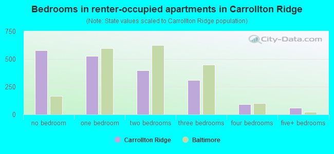 Bedrooms in renter-occupied apartments in Carrollton Ridge