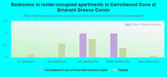 Bedrooms in renter-occupied apartments in Carrollwood Cove at Emerald Greens Condo