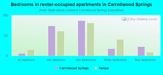 Bedrooms in renter-occupied apartments in Carrollwood Springs