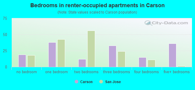Bedrooms in renter-occupied apartments in Carson