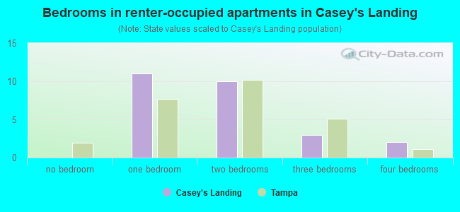 Bedrooms in renter-occupied apartments in Casey's Landing