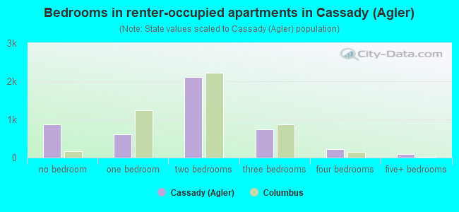 Bedrooms in renter-occupied apartments in Cassady (Agler)
