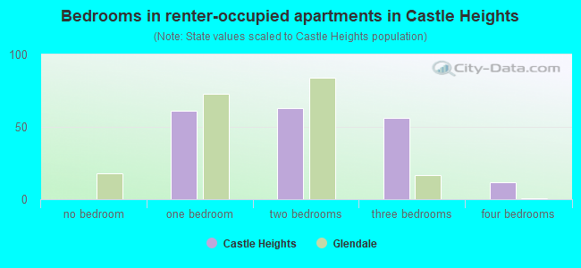 Bedrooms in renter-occupied apartments in Castle Heights