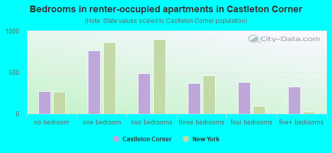 Bedrooms in renter-occupied apartments in Castleton Corner