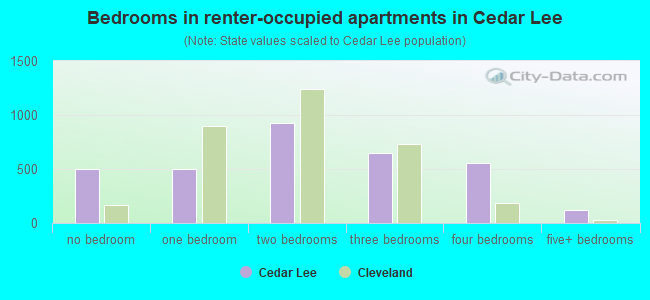Bedrooms in renter-occupied apartments in Cedar Lee