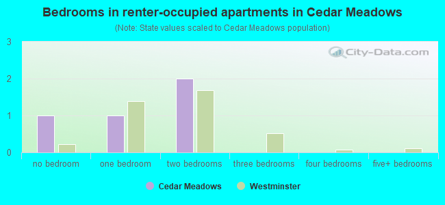Bedrooms in renter-occupied apartments in Cedar Meadows