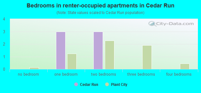Bedrooms in renter-occupied apartments in Cedar Run