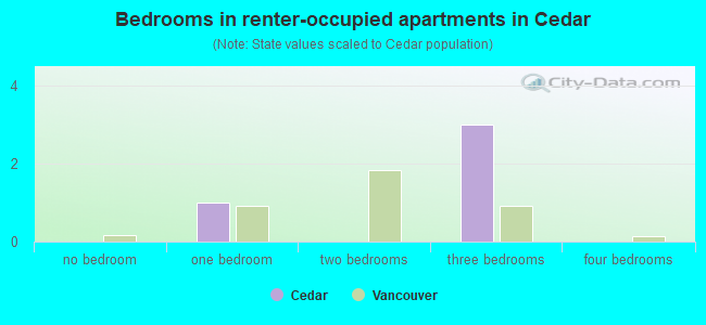 Bedrooms in renter-occupied apartments in Cedar