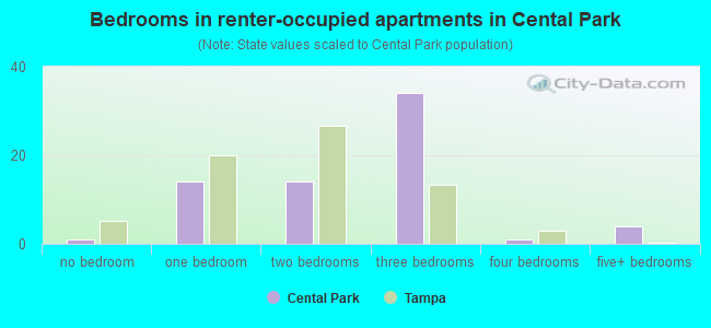 Bedrooms in renter-occupied apartments in Cental Park