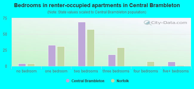 Bedrooms in renter-occupied apartments in Central Brambleton