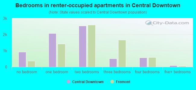 Bedrooms in renter-occupied apartments in Central Downtown