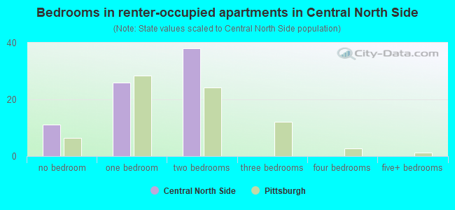 Bedrooms in renter-occupied apartments in Central North Side