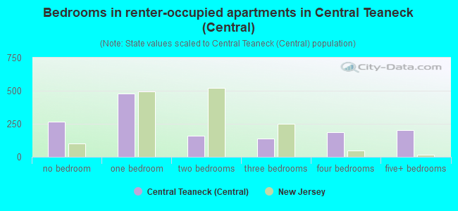 Bedrooms in renter-occupied apartments in Central Teaneck (Central)