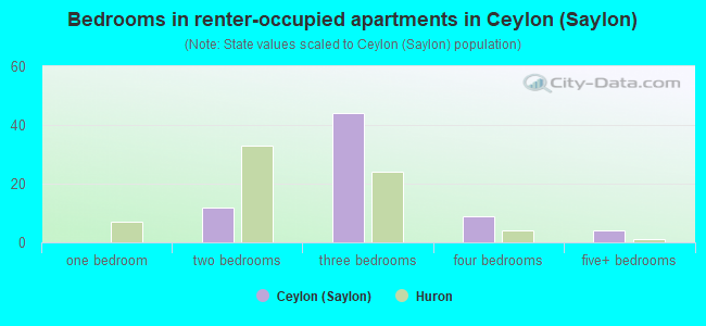 Bedrooms in renter-occupied apartments in Ceylon (Saylon)