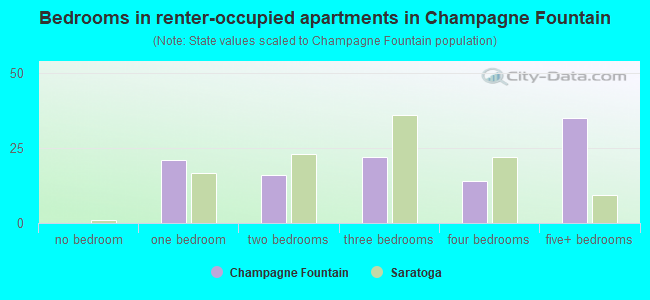 Bedrooms in renter-occupied apartments in Champagne Fountain