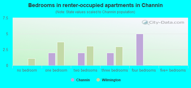 Bedrooms in renter-occupied apartments in Channin
