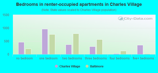 Bedrooms in renter-occupied apartments in Charles Village