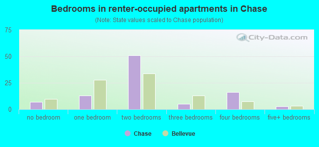 Bedrooms in renter-occupied apartments in Chase