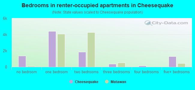 Bedrooms in renter-occupied apartments in Cheesequake