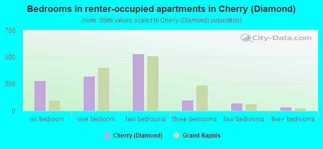 Bedrooms in renter-occupied apartments in Cherry (Diamond)