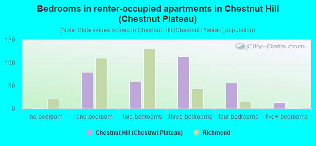 Bedrooms in renter-occupied apartments in Chestnut Hill (Chestnut Plateau)