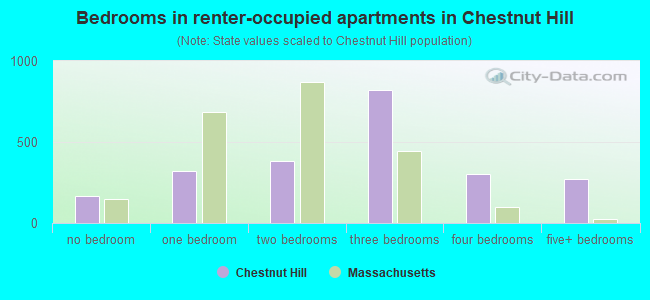 Bedrooms in renter-occupied apartments in Chestnut Hill