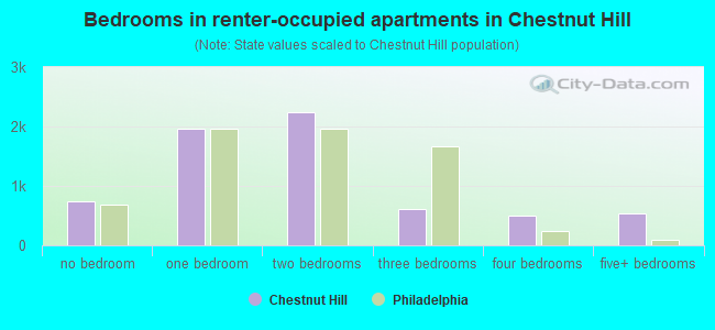 Bedrooms in renter-occupied apartments in Chestnut Hill