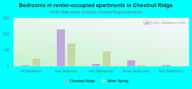 Bedrooms in renter-occupied apartments in Chestnut Ridge