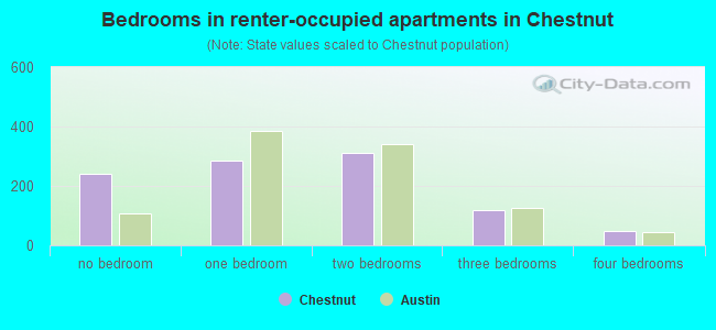 Bedrooms in renter-occupied apartments in Chestnut