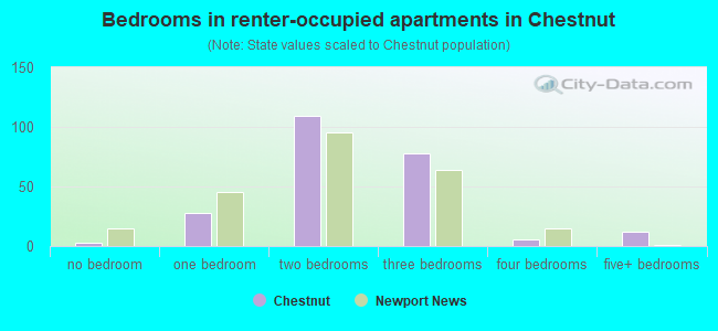 Bedrooms in renter-occupied apartments in Chestnut