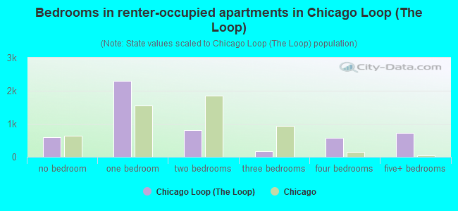 Bedrooms in renter-occupied apartments in Chicago Loop (The Loop)
