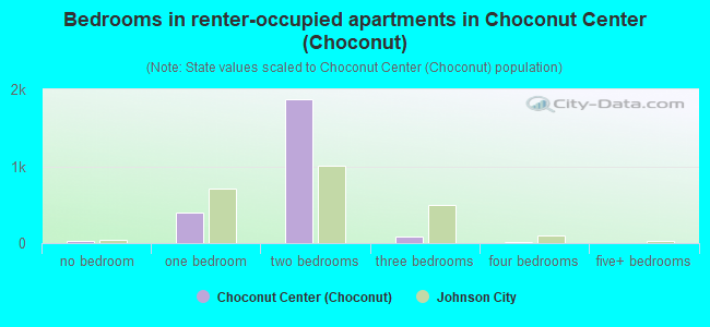 Bedrooms in renter-occupied apartments in Choconut Center (Choconut)