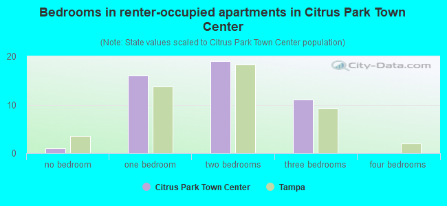 Bedrooms in renter-occupied apartments in Citrus Park Town Center