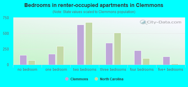 Bedrooms in renter-occupied apartments in Clemmons