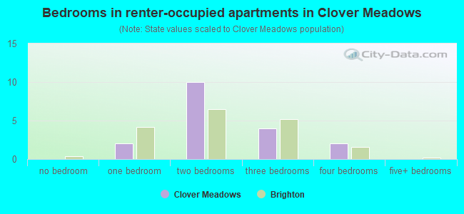 Bedrooms in renter-occupied apartments in Clover Meadows
