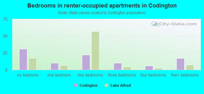 Bedrooms in renter-occupied apartments in Codington