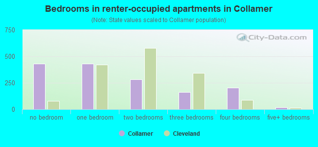 Bedrooms in renter-occupied apartments in Collamer