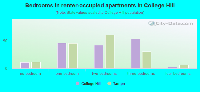 Bedrooms in renter-occupied apartments in College Hill