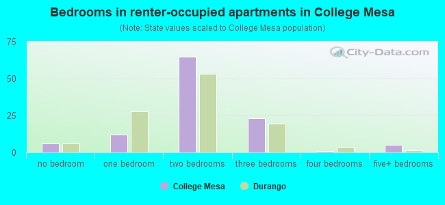 Bedrooms in renter-occupied apartments in College Mesa