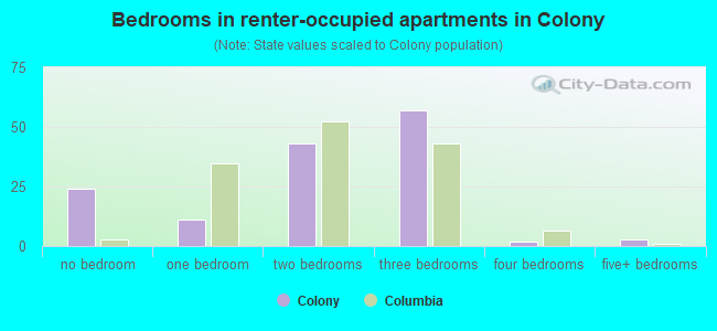 Bedrooms in renter-occupied apartments in Colony